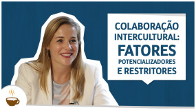 Colaboração intercultural: fatores potencializadores e restritores