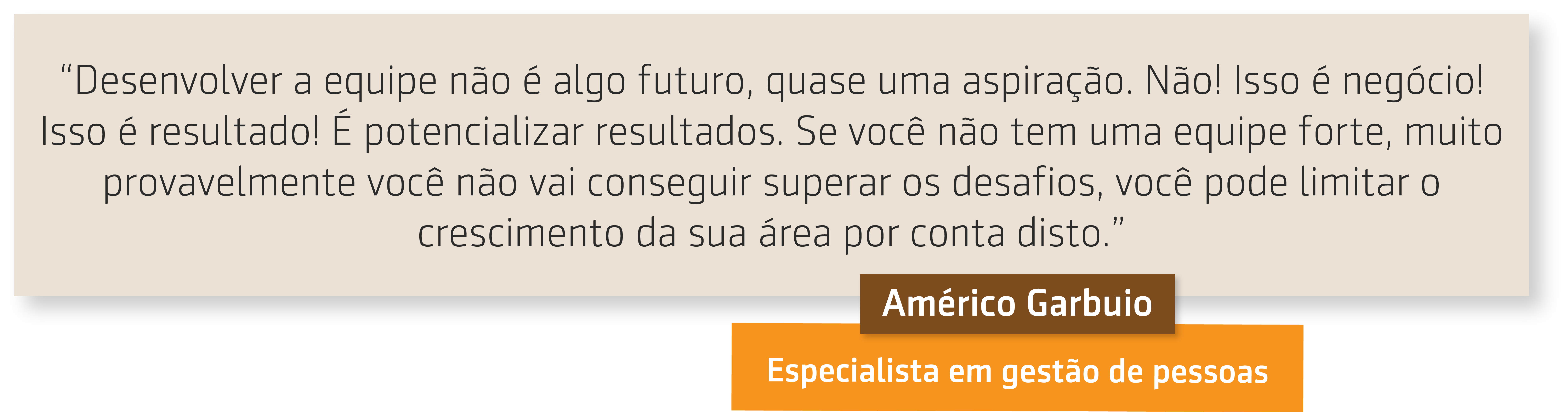 Série Américo Garbuio | 5 de 6 | Desenvolvimento da liderança e formação de equipes. síntese