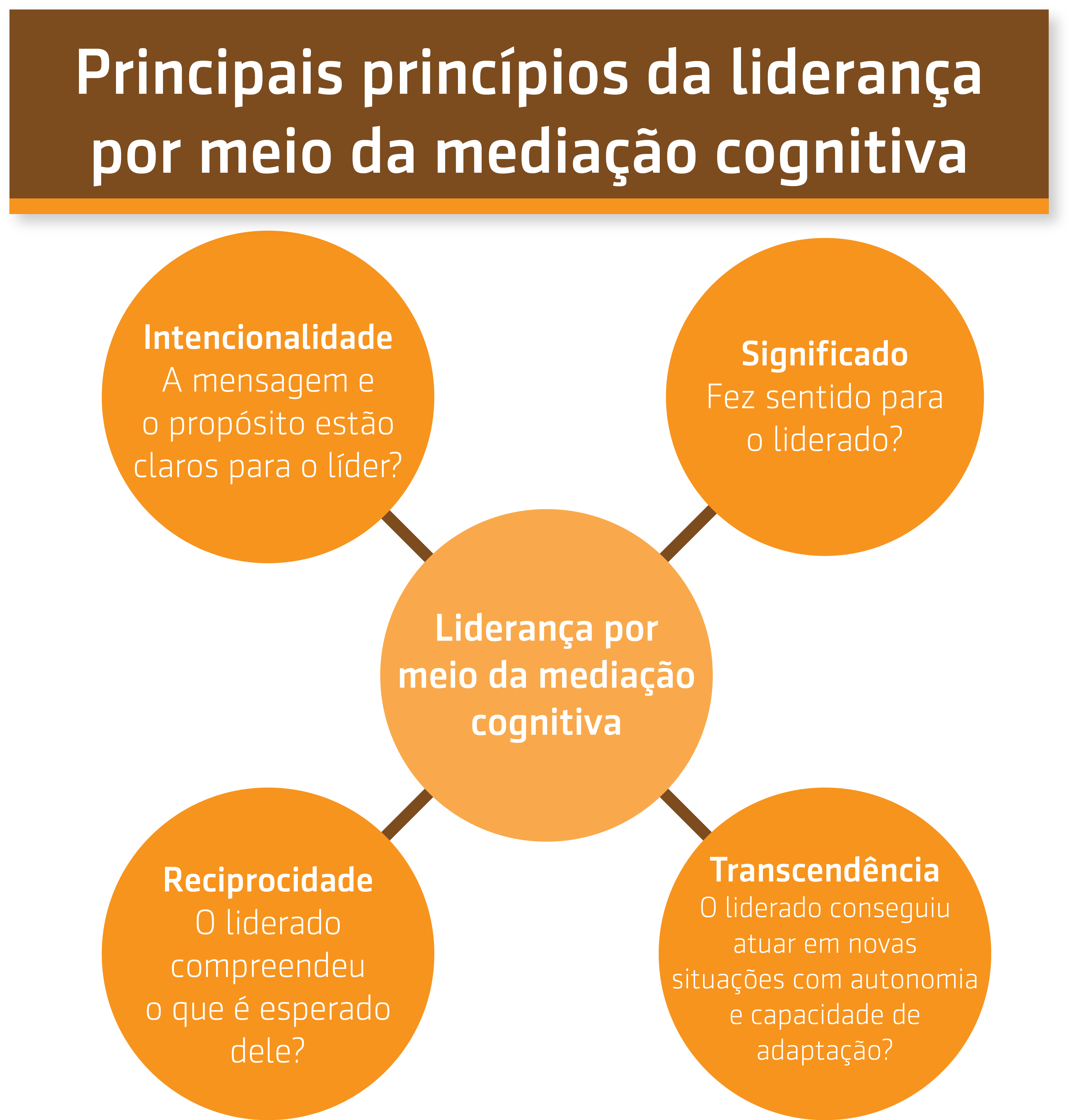 Resumo da entrevista sobre Liderança por meio da mediação cognitiva