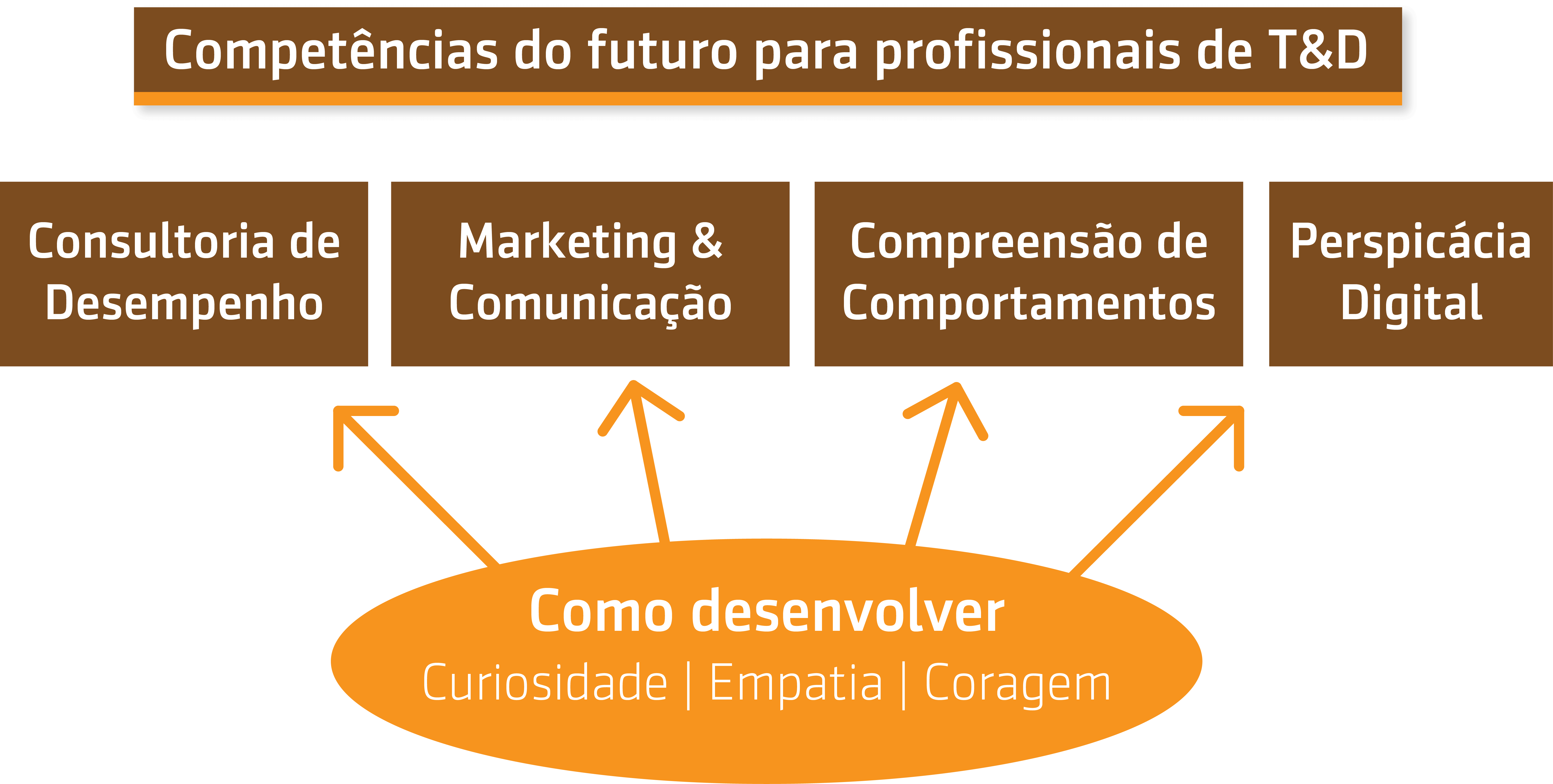Resumo da entrevista com Anca Iordache sobre Competências do futuro para profissionais de T&D – 70:20:10 Summit, 2019