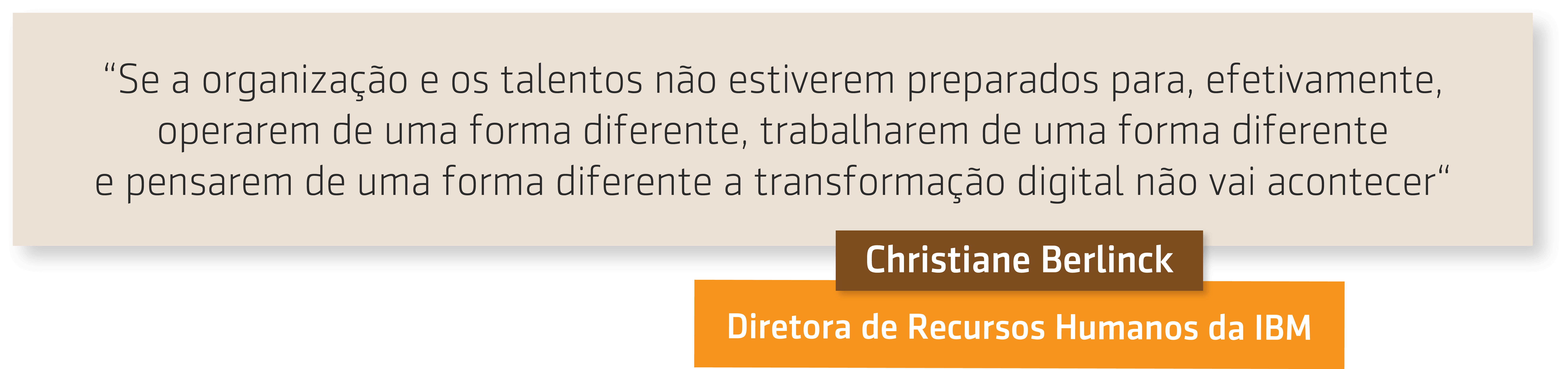 Resumo da entrevista sobre Transformação digital e recursos humanos