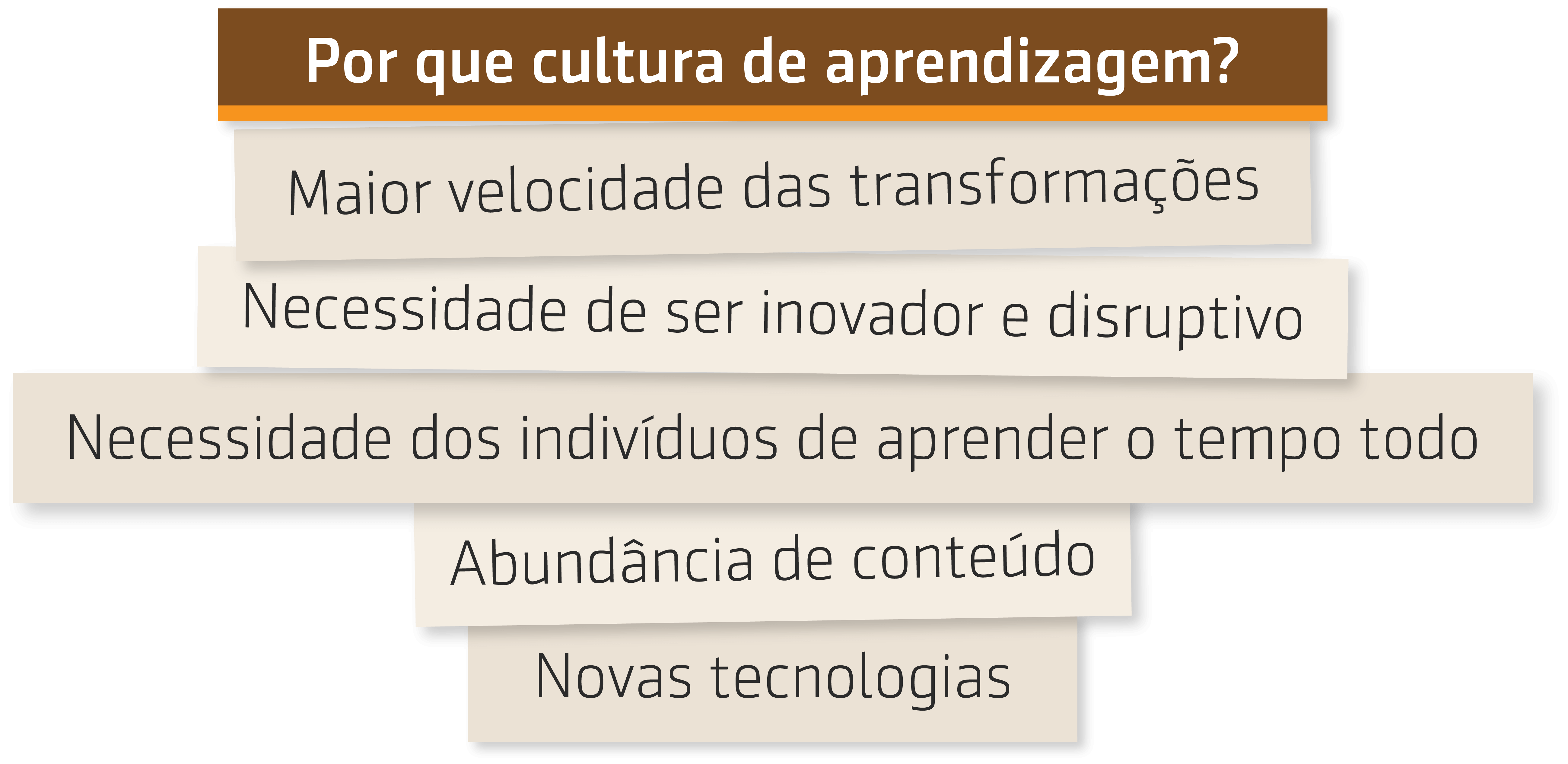 Resumo da entrevista com Christiane Berlinck da IBM sobre Cultura de aprendizagem