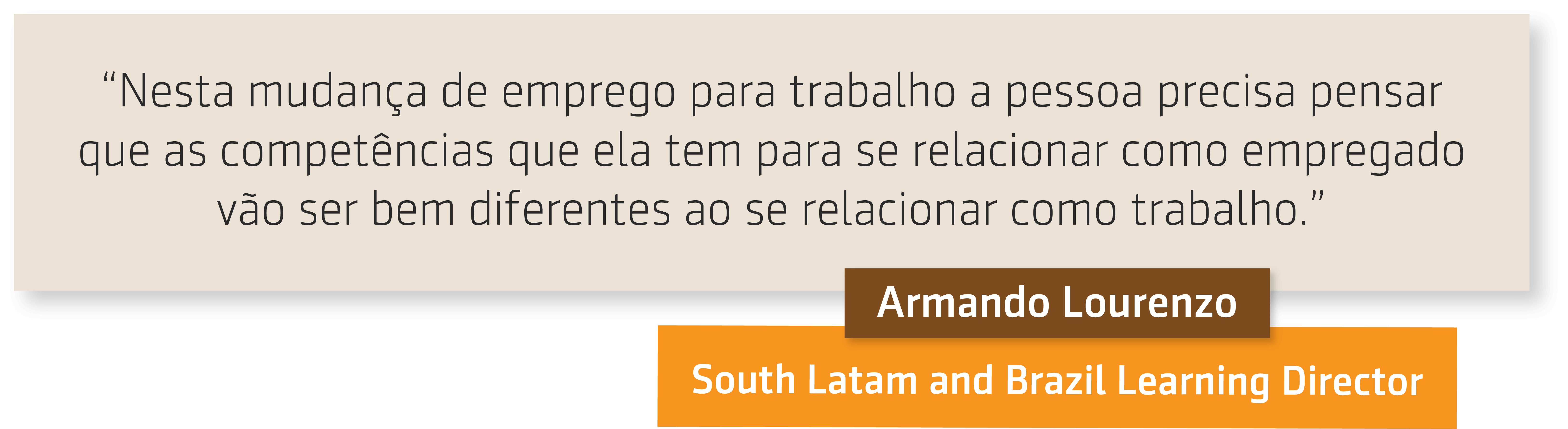 Resumo da entrevista com Armando Lourenzo sobre O fim do emprego