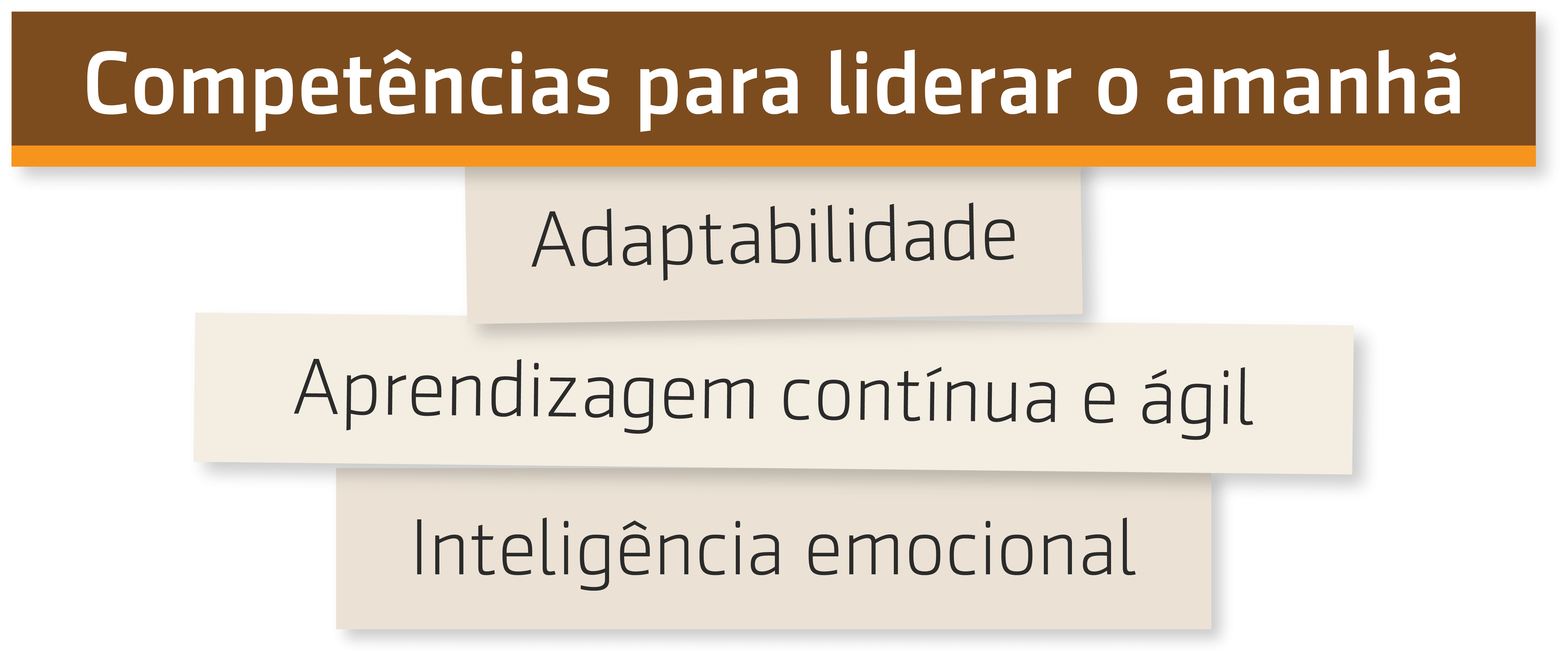 Resumo da entrevista que Prof. Wagner Cassimiro fez com Armando Lourenzo sobre Liderando o amanhã 