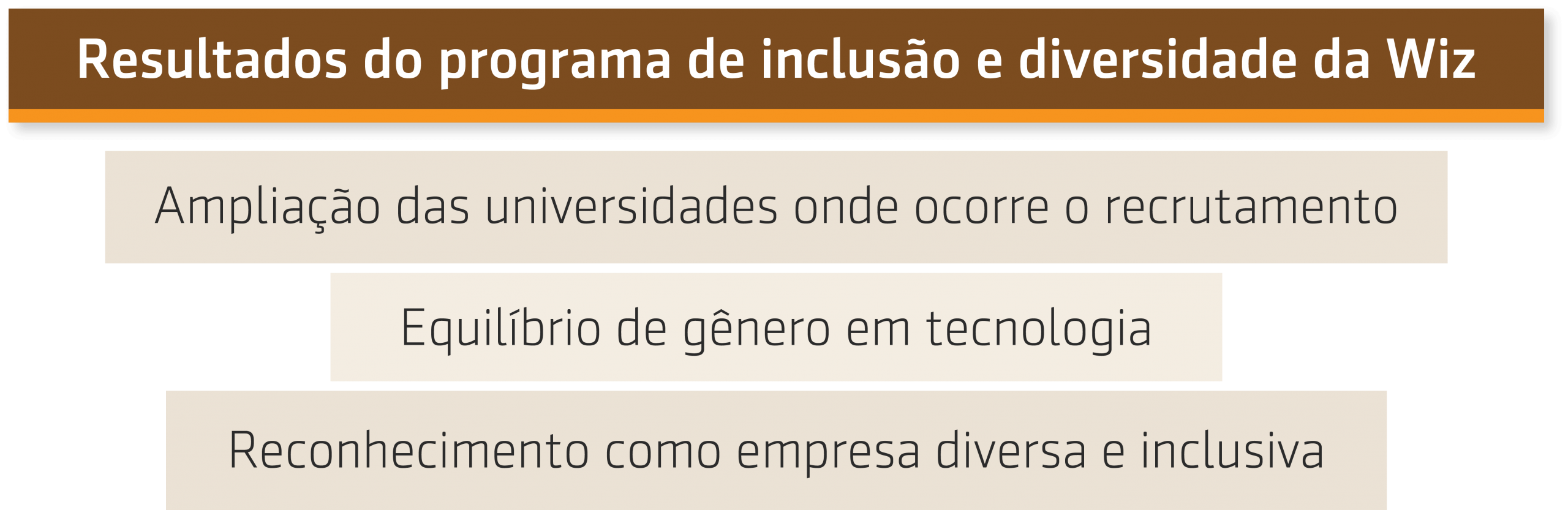 Resumo da conversa de Prof. Wagner Cassimiro com a Wiz sobre Programa de inclusão e diversidade