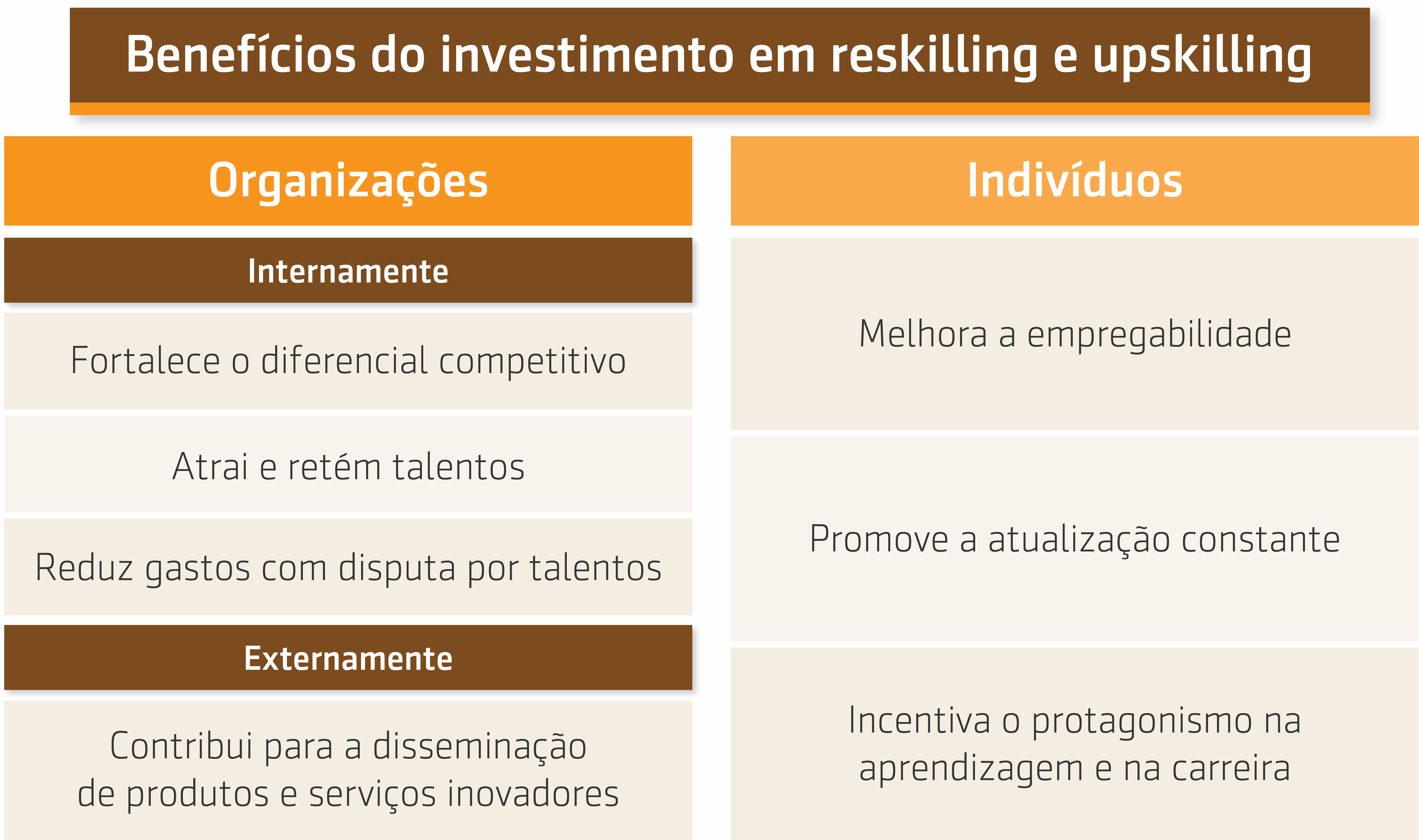Série reskilling e upskilling |2 de 3| Papel das organizações (Resumo)