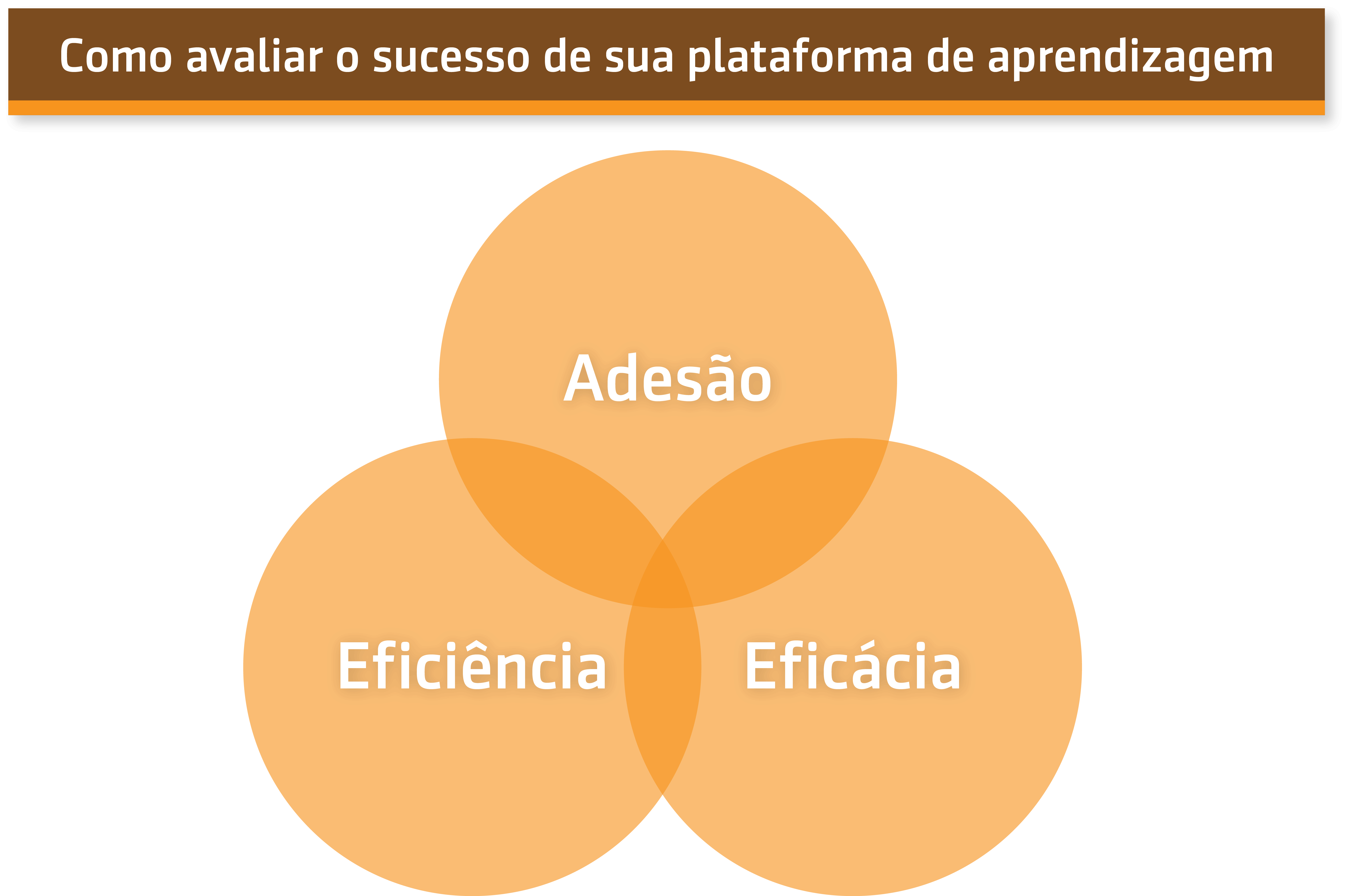 Resumo da aula sobre Como avaliar o sucesso de sua plataforma de aprendizagem